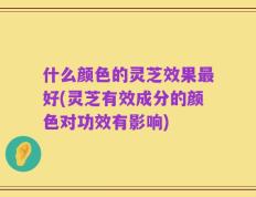 什么颜色的灵芝效果最好(灵芝有效成分的颜色对功效有影响)