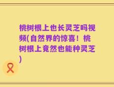 桃树根上也长灵芝吗视频(自然界的惊喜！桃树根上竟然也能种灵芝)