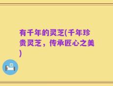 有千年的灵芝(千年珍贵灵芝，传承匠心之美)