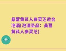 桑葚黄芪人参灵芝适合泡酒(泡酒圣品：桑葚黄芪人参灵芝)