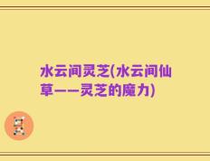 水云间灵芝(水云间仙草——灵芝的魔力)