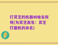 打灵芝的机器叫啥名称呀(为灵芝而生：灵芝打磨机的命名)