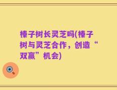 榛子树长灵芝吗(榛子树与灵芝合作，创造“双赢”机会)