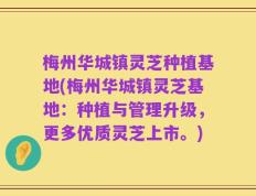 梅州华城镇灵芝种植基地(梅州华城镇灵芝基地：种植与管理升级，更多优质灵芝上市。)