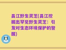 昌江野生灵芝(昌江挖掘出罕见野生灵芝：引发对生态环境保护的警醒)