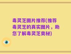 毒灵芝图片推荐(推荐毒灵芝的真实图片，助您了解毒灵芝奥秘)