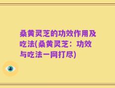 桑黄灵芝的功效作用及吃法(桑黄灵芝：功效与吃法一网打尽)