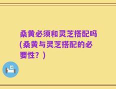 桑黄必须和灵芝搭配吗(桑黄与灵芝搭配的必要性？)