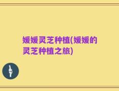 媛媛灵芝种植(媛媛的灵芝种植之旅)