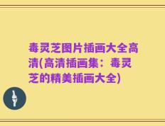 毒灵芝图片插画大全高清(高清插画集：毒灵芝的精美插画大全)