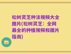 松树灵芝种法视频大全图片(松树灵芝：全网最全的种植视频和图片指南)