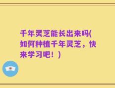 千年灵芝能长出来吗(如何种植千年灵芝，快来学习吧！)