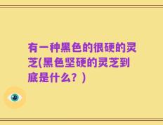 有一种黑色的很硬的灵芝(黑色坚硬的灵芝到底是什么？)