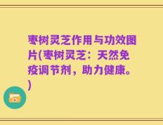 枣树灵芝作用与功效图片(枣树灵芝：天然免疫调节剂，助力健康。)