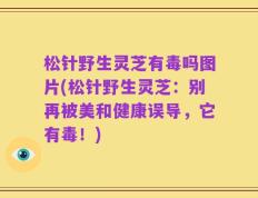 松针野生灵芝有毒吗图片(松针野生灵芝：别再被美和健康误导，它有毒！)