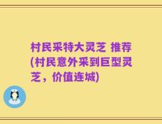 村民采特大灵芝 推荐(村民意外采到巨型灵芝，价值连城)