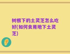 树根下的土灵芝怎么吃好(如何食用地下土灵芝)