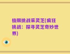 极限挑战采灵芝(疯狂挑战：探寻灵芝奇妙世界)