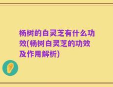 杨树的白灵芝有什么功效(杨树白灵芝的功效及作用解析)