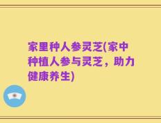 家里种人参灵芝(家中种植人参与灵芝，助力健康养生)