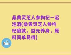 桑黄灵芝人参枸杞一起泡酒(桑黄灵芝人参枸杞酿就，益元养身，原料简单易得)