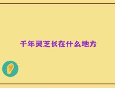 千年灵芝长在什么地方