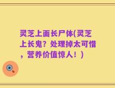 灵芝上面长尸体(灵芝上长鬼？处理掉太可惜，营养价值惊人！)