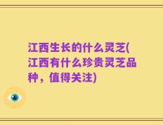 江西生长的什么灵芝(江西有什么珍贵灵芝品种，值得关注)