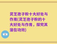灵芝孢子粉十大好处与作用(灵芝孢子粉的十大好处与作用，探究其潜在功效)