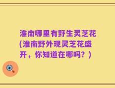 淮南哪里有野生灵芝花(淮南野外现灵芝花盛开，你知道在哪吗？)