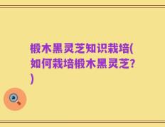 椴木黑灵芝知识栽培(如何栽培椴木黑灵芝？)