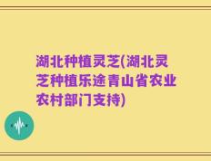 湖北种植灵芝(湖北灵芝种植乐途青山省农业农村部门支持)