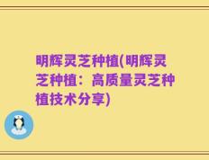 明辉灵芝种植(明辉灵芝种植：高质量灵芝种植技术分享)