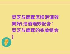 灵芝与鹿茸怎样泡酒效果好(泡酒绝妙配合：灵芝与鹿茸的完美组合)