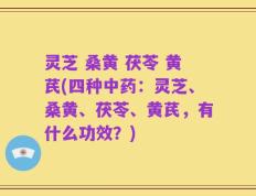 灵芝 桑黄 茯苓 黄芪(四种中药：灵芝、桑黄、茯苓、黄芪，有什么功效？)