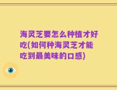 海灵芝要怎么种植才好吃(如何种海灵芝才能吃到最美味的口感)