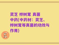 灵芝 桦树茸 真菌 中药(中药材：灵芝、桦树茸等真菌的功效与作用)