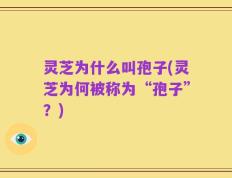 灵芝为什么叫孢子(灵芝为何被称为“孢子”？)