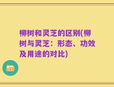 柳树和灵芝的区别(柳树与灵芝：形态、功效及用途的对比)