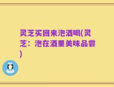灵芝买回来泡酒喝(灵芝：泡在酒里美味品尝)