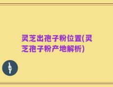 灵芝出孢子粉位置(灵芝孢子粉产地解析)