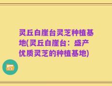 灵丘白崖台灵芝种植基地(灵丘白崖台：盛产优质灵芝的种植基地)
