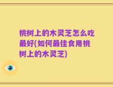 桃树上的木灵芝怎么吃最好(如何最佳食用桃树上的木灵芝)