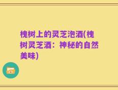 槐树上的灵芝泡酒(槐树灵芝酒：神秘的自然美味)