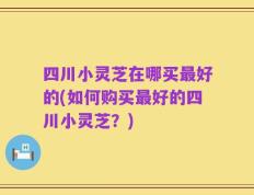 四川小灵芝在哪买最好的(如何购买最好的四川小灵芝？)