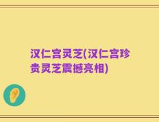 汉仁宫灵芝(汉仁宫珍贵灵芝震撼亮相)