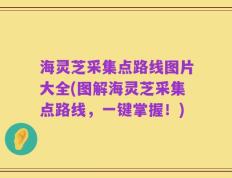 海灵芝采集点路线图片大全(图解海灵芝采集点路线，一键掌握！)