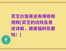 灵芝价值用途有哪些呢视频(灵芝的功效及用途详解，健康福利你要知！)