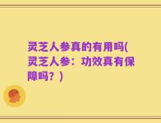 灵芝人参真的有用吗(灵芝人参：功效真有保障吗？)