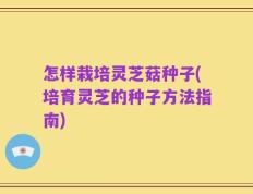 怎样栽培灵芝菇种子(培育灵芝的种子方法指南)
